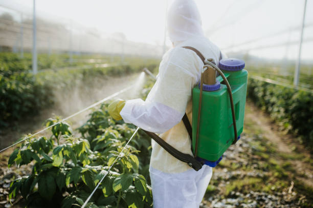 Best Insect Control  in Hillsborough, NC